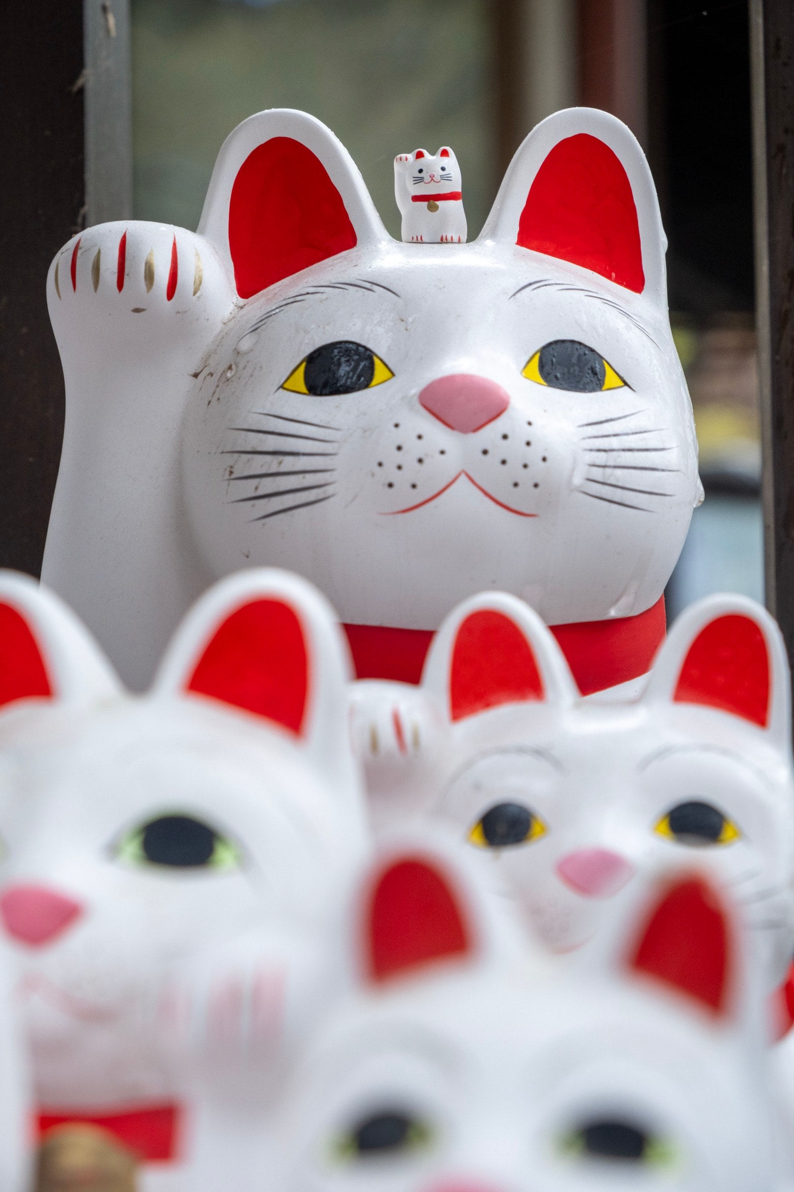 Rows of white and red maneki-neko beckoning-cat figurines, a tiny cat perched on the ear of the largest one