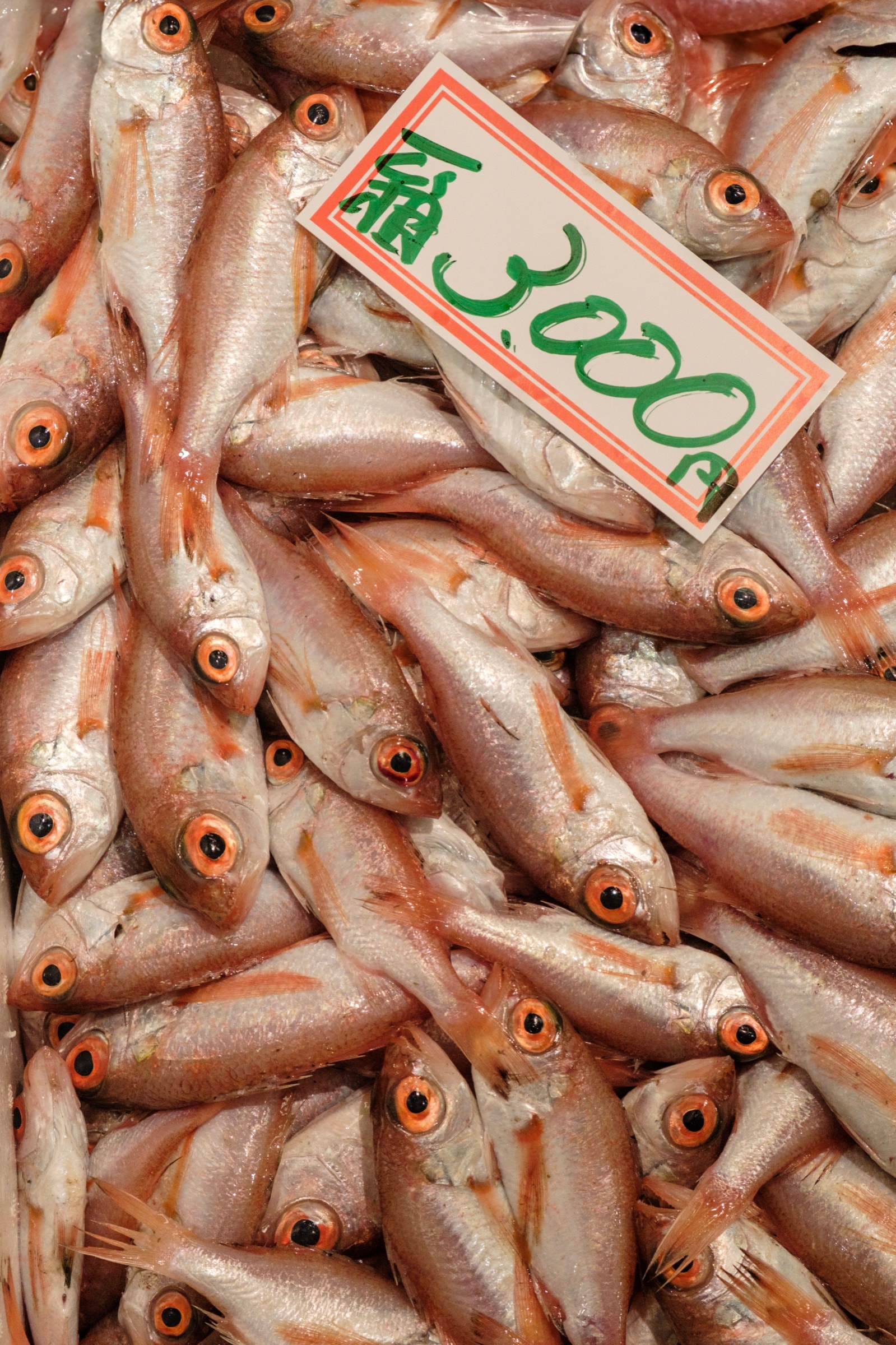A pile of fresh red-eyed fish at a market with a handwritten price tag reading 3,000 yen