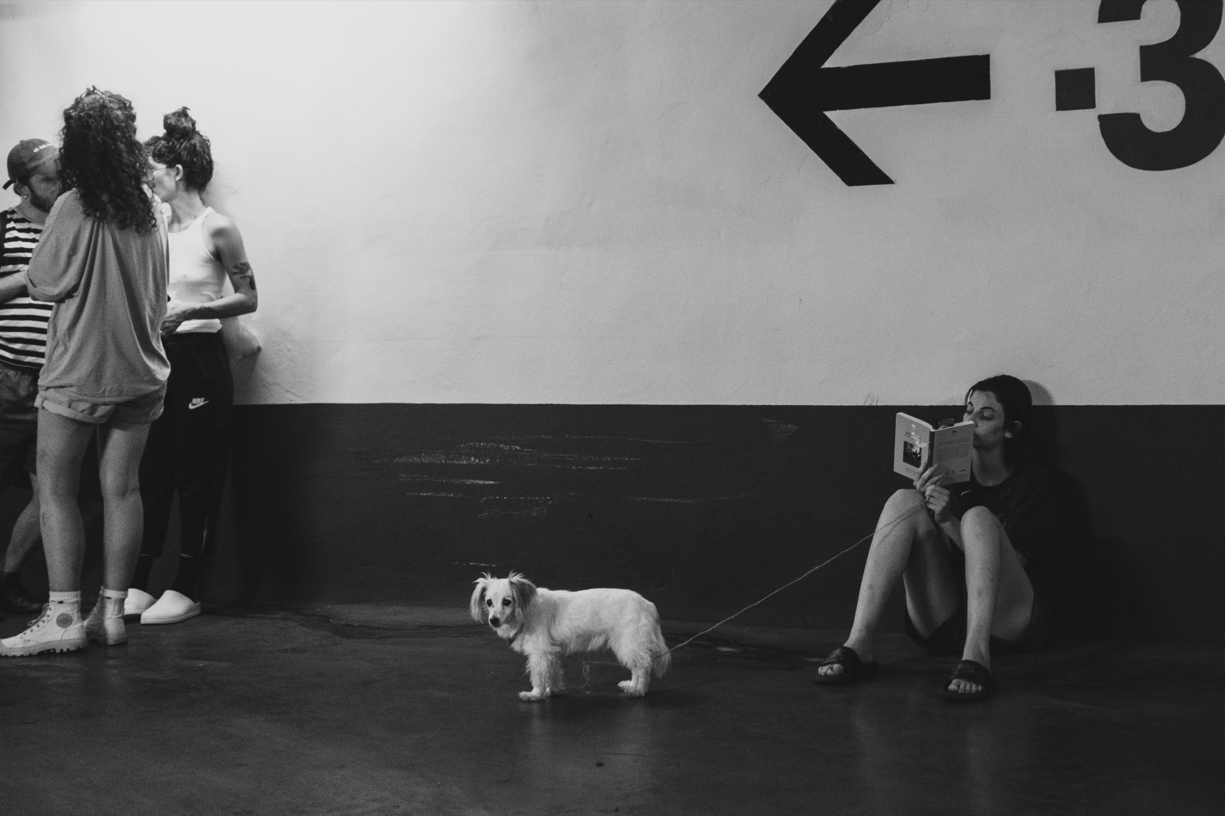 A couple embraces near a wall while a woman reads a book on the floor beside a small white dog, a level -3 sign above